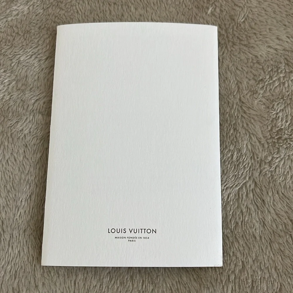 LOUIS VUITTON Damier Graphite Limited Edition Key holder/bag charm